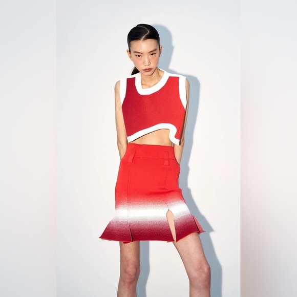 PH5 Dresses & Skirts - PH5 Red and White Cropped Knit Tank Top and skirt SET